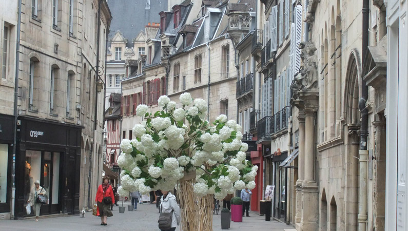 Dijon street